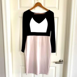 NWOT - Women’s Pull on Fitted Color Block Dress
